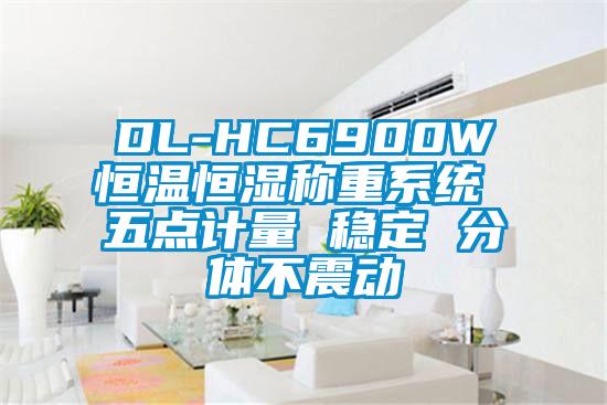 DL-HC6900W恒溫恒濕稱(chēng)重系統 五點(diǎn)計量 穩定 分體不震動(dòng)