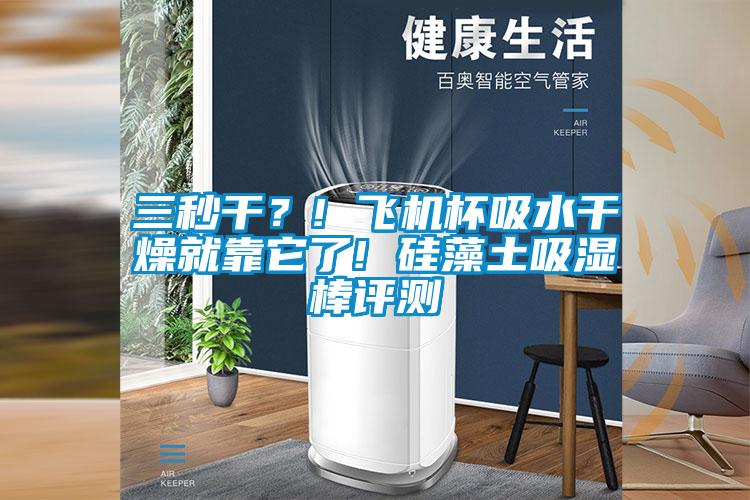 三秒干？! 飛機杯吸水干燥就靠它了! 硅藻土吸濕棒評測