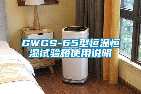 GWGS-65型恒溫恒濕試驗箱使用說(shuō)明