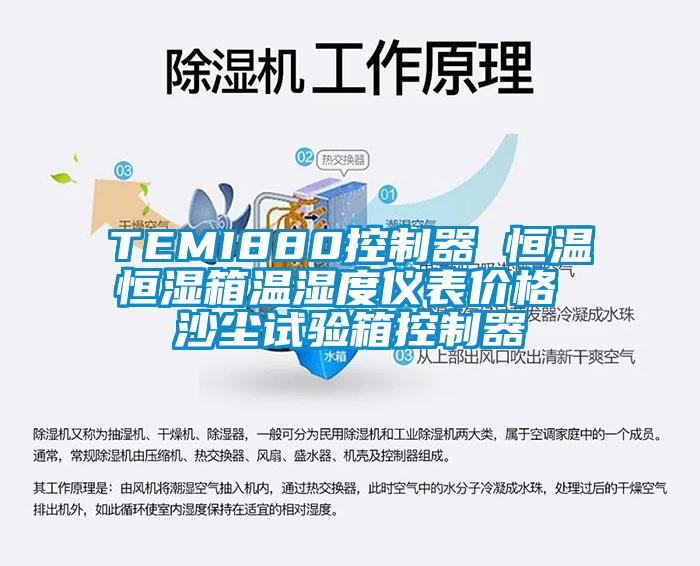 TEMI880控制器 恒溫恒濕箱溫濕度儀表價(jià)格 沙塵試驗箱控制器