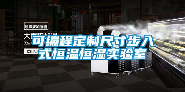 可編程定制尺寸步入式恒溫恒濕實(shí)驗室