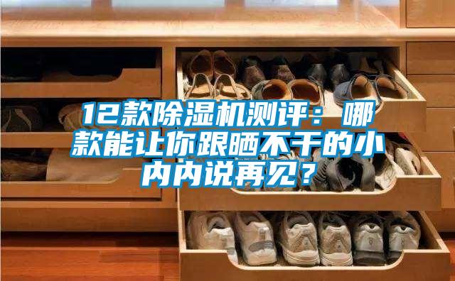 12款除濕機測評：哪款能讓你跟曬不干的小內內說(shuō)再見(jiàn)？