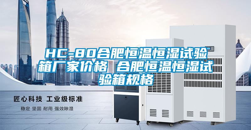 HC-80合肥恒溫恒濕試驗箱廠(chǎng)家價(jià)格 合肥恒溫恒濕試驗箱規格