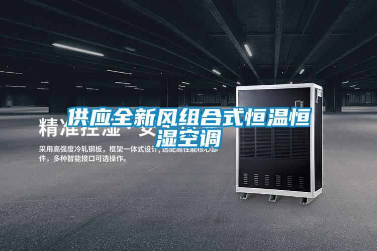 供應全新風(fēng)組合式恒溫恒濕空調