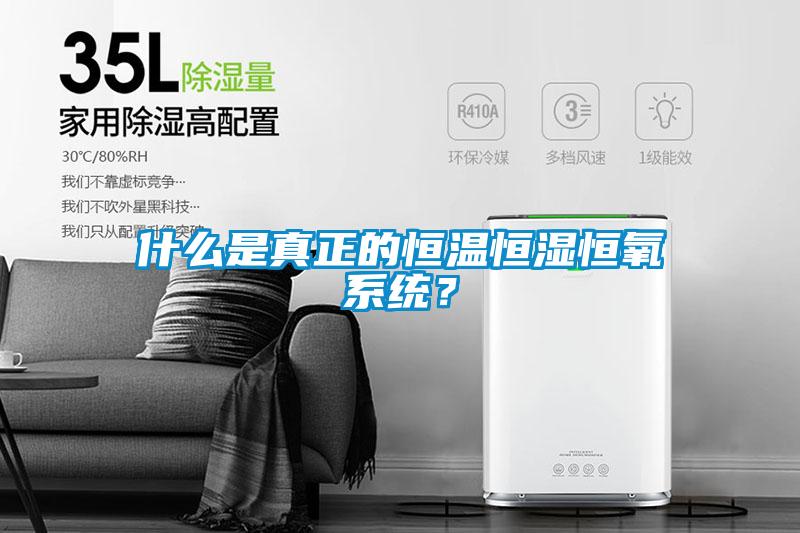 什么是真正的恒溫恒濕恒氧系統？
