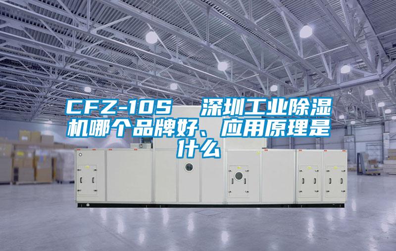 CFZ-10S  深圳工業(yè)除濕機哪個(gè)品牌好、應用原理是什么