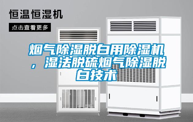 煙氣除濕脫白用除濕機，濕法脫硫煙氣除濕脫白技術(shù)