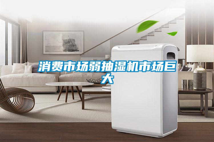 消費市場(chǎng)弱抽濕機市場(chǎng)巨大