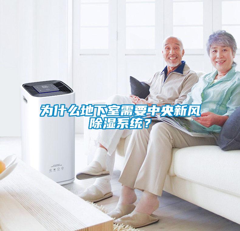 為什么地下室需要中央新風(fēng)除濕系統？