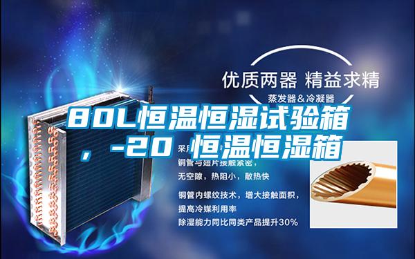 80L恒溫恒濕試驗箱，-20℃恒溫恒濕箱
