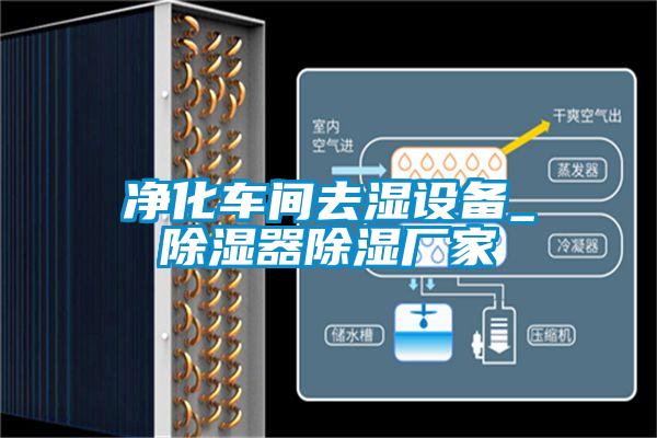 凈化車(chē)間去濕設備_除濕器除濕廠(chǎng)家