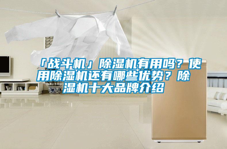 「戰斗機」除濕機有用嗎？使用除濕機還有哪些優(yōu)勢？除濕機十大品牌介紹