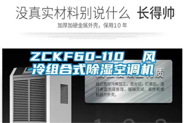 ZCKF60-110  風(fēng)冷組合式除濕空調機