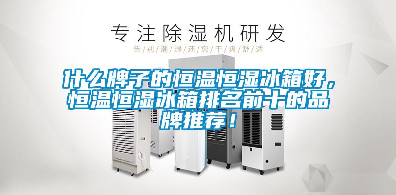 什么牌子的恒溫恒濕冰箱好，恒溫恒濕冰箱排名前十的品牌推薦！