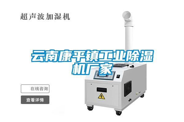 云南康平鎮工業(yè)除濕機廠(chǎng)家