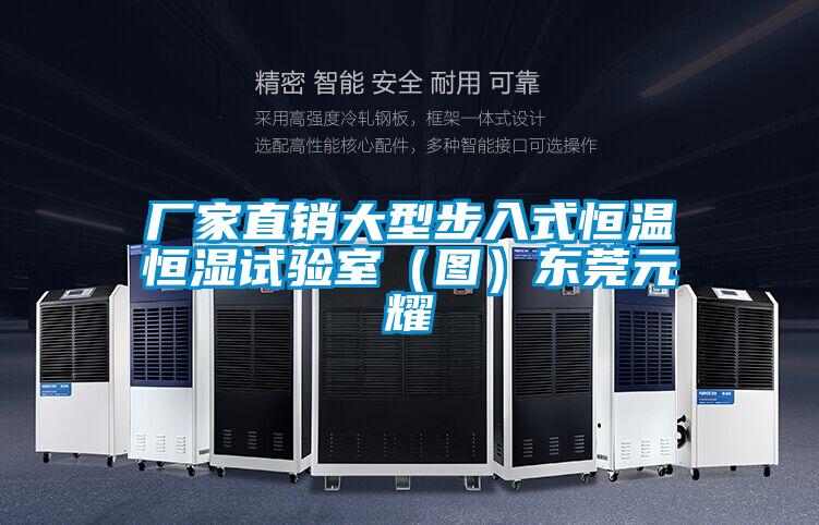 廠(chǎng)家直銷(xiāo)大型步入式恒溫恒濕試驗室（圖）東莞元耀