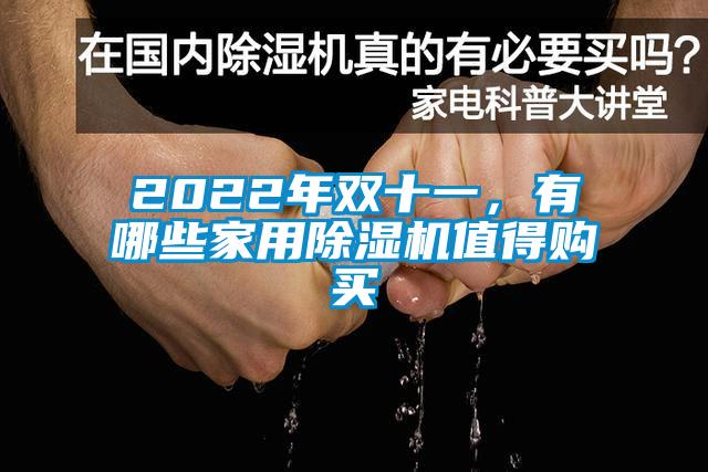 2022年雙十一，有哪些家用除濕機值得購買(mǎi)