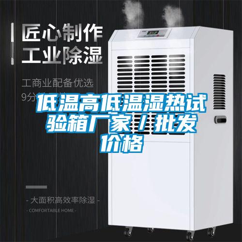 低溫高低溫濕熱試驗箱廠(chǎng)家／批發(fā)價(jià)格