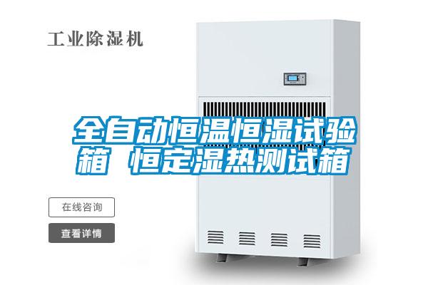 全自動(dòng)恒溫恒濕試驗箱 恒定濕熱測試箱