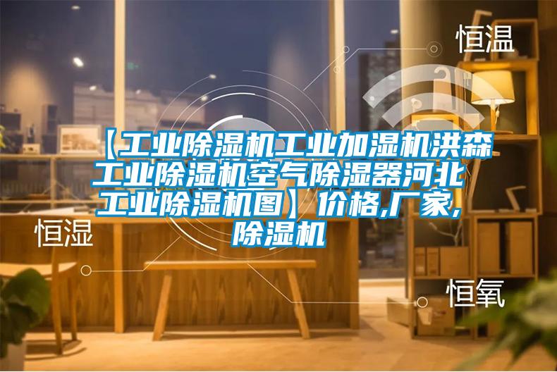 【工業(yè)除濕機工業(yè)加濕機洪森工業(yè)除濕機空氣除濕器河北工業(yè)除濕機圖】?jì)r(jià)格,廠(chǎng)家,除濕機