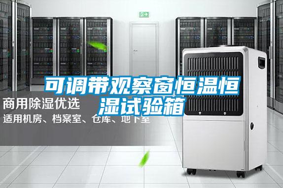 可調帶觀(guān)察窗恒溫恒濕試驗箱
