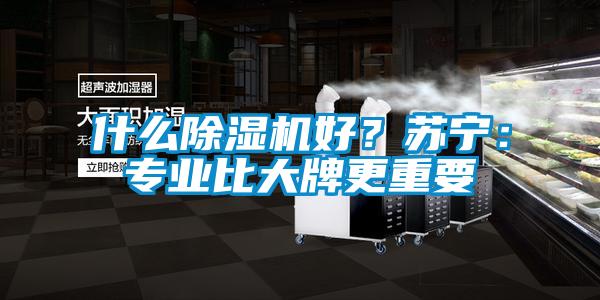 什么除濕機好？蘇寧：專(zhuān)業(yè)比大牌更重要