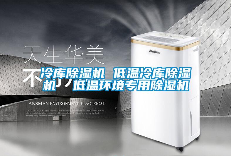 冷庫除濕機 低溫冷庫除濕機  低溫環(huán)境專(zhuān)用除濕機