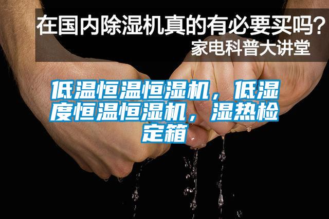 低溫恒溫恒濕機，低濕度恒溫恒濕機，濕熱檢定箱