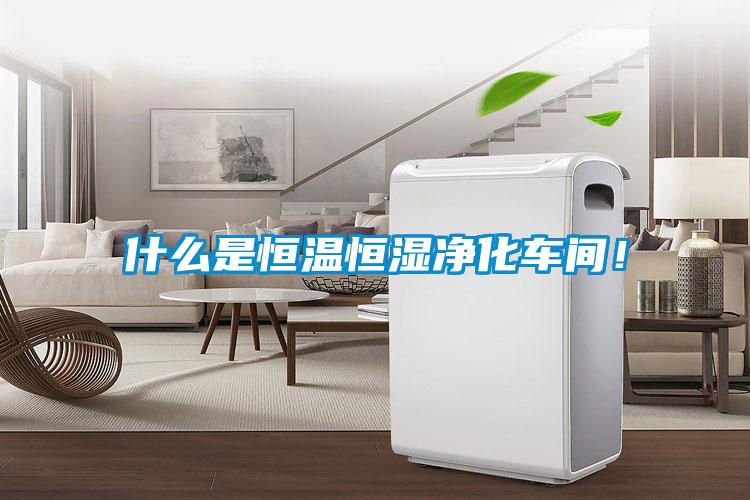 什么是恒溫恒濕凈化車(chē)間！