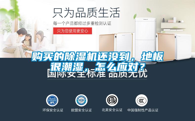 購買(mǎi)的除濕機還沒(méi)到，地板很潮濕，怎么應對？