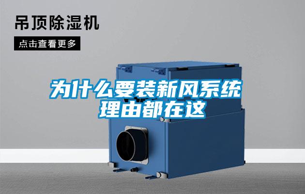 為什么要裝新風(fēng)系統 理由都在這