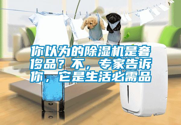 你以為的除濕機是奢侈品？不，專(zhuān)家告訴你，它是生活必需品