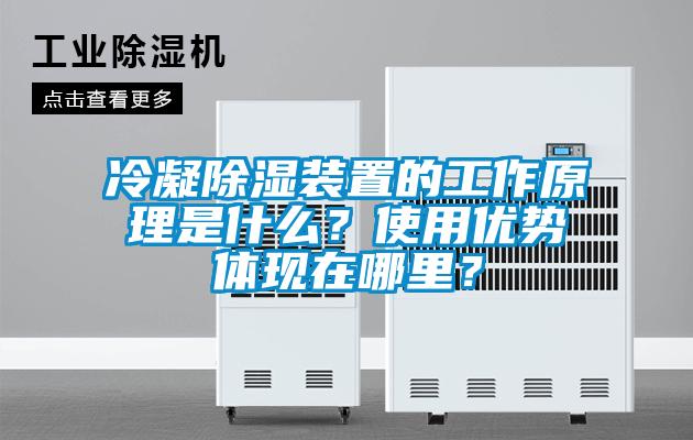 冷凝除濕裝置的工作原理是什么？使用優(yōu)勢體現在哪里？