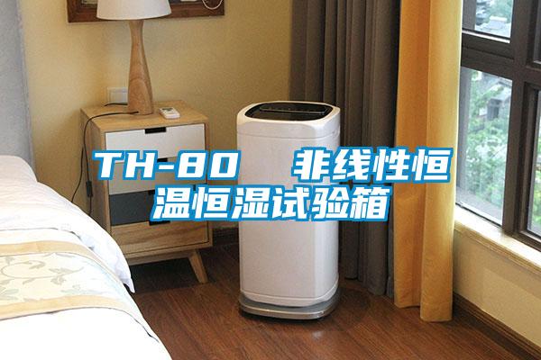TH-80  非線(xiàn)性恒溫恒濕試驗箱