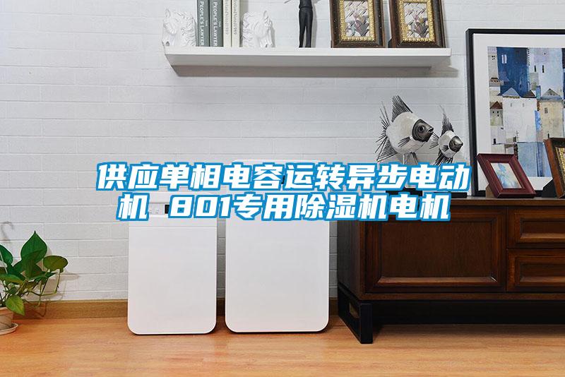 供應單相電容運轉異步電動(dòng)機 801專(zhuān)用除濕機電機