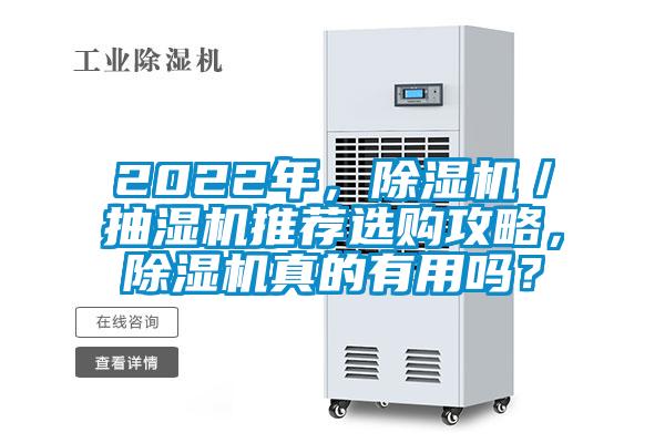 2022年，除濕機／抽濕機推薦選購攻略，除濕機真的有用嗎？