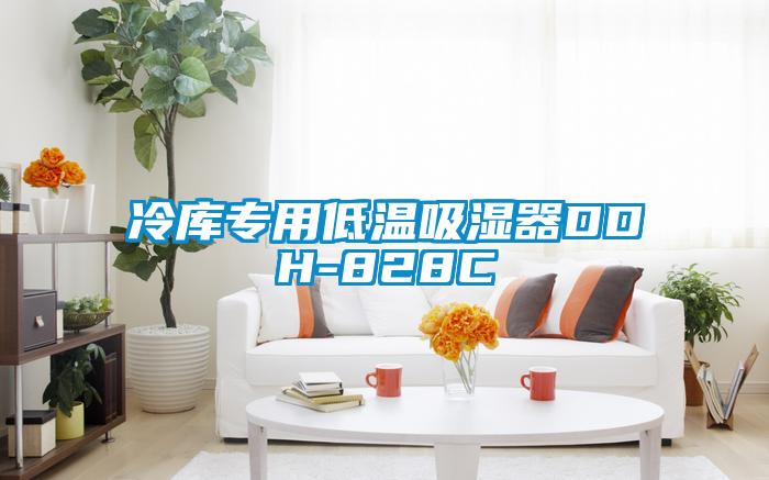 冷庫專(zhuān)用低溫吸濕器DDH-828C