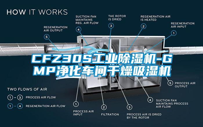 CFZ30S工業(yè)除濕機-GMP凈化車(chē)間干燥吸濕機