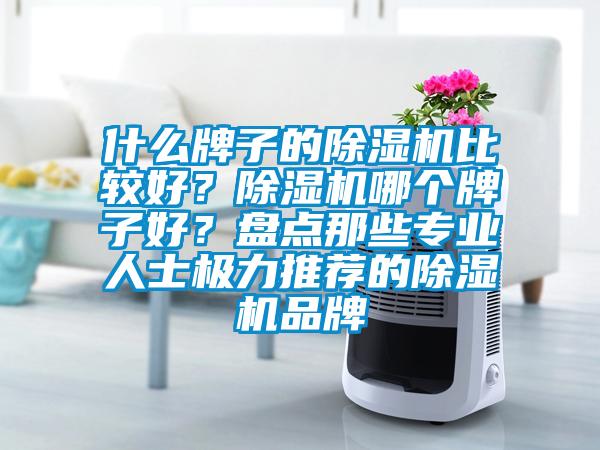 什么牌子的除濕機比較好？除濕機哪個(gè)牌子好？盤(pán)點(diǎn)那些專(zhuān)業(yè)人士極力推薦的除濕機品牌
