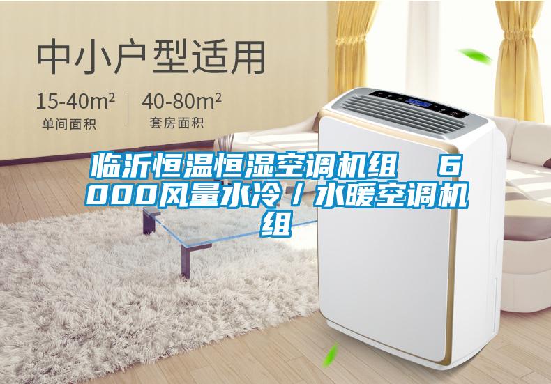 臨沂恒溫恒濕空調機組  6000風(fēng)量水冷／水暖空調機組