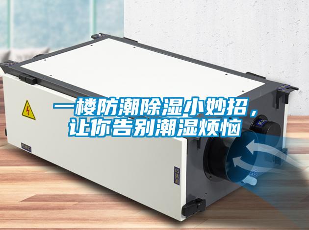 一樓防潮除濕小妙招，讓你告別潮濕煩惱