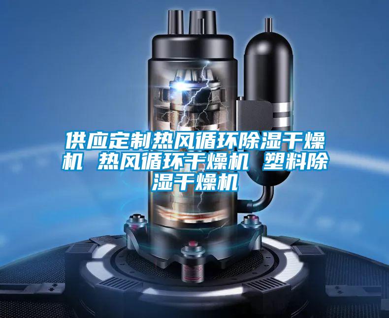 供應定制熱風(fēng)循環(huán)除濕干燥機 熱風(fēng)循環(huán)干燥機 塑料除濕干燥機