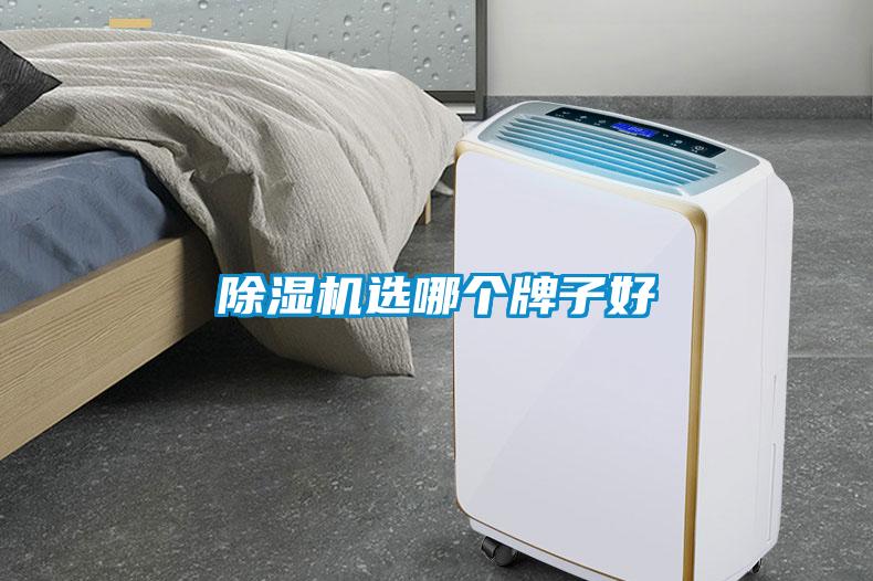除濕機選哪個(gè)牌子好