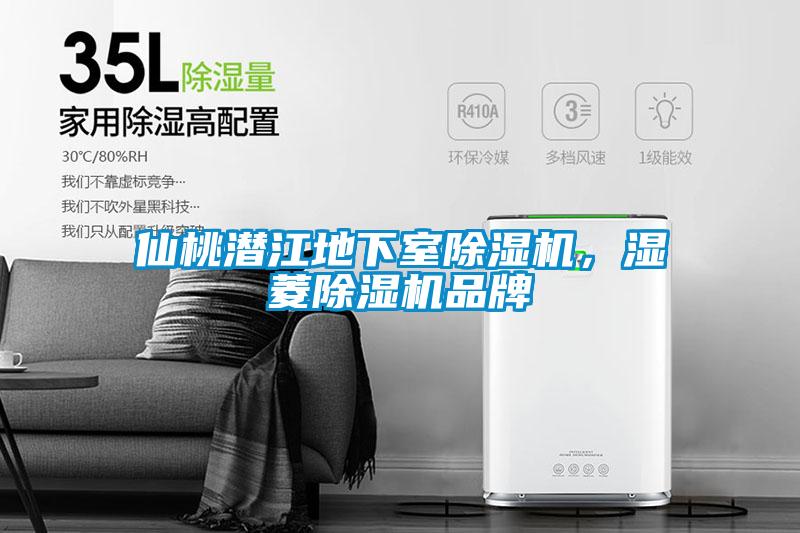 仙桃潛江地下室除濕機，濕菱除濕機品牌