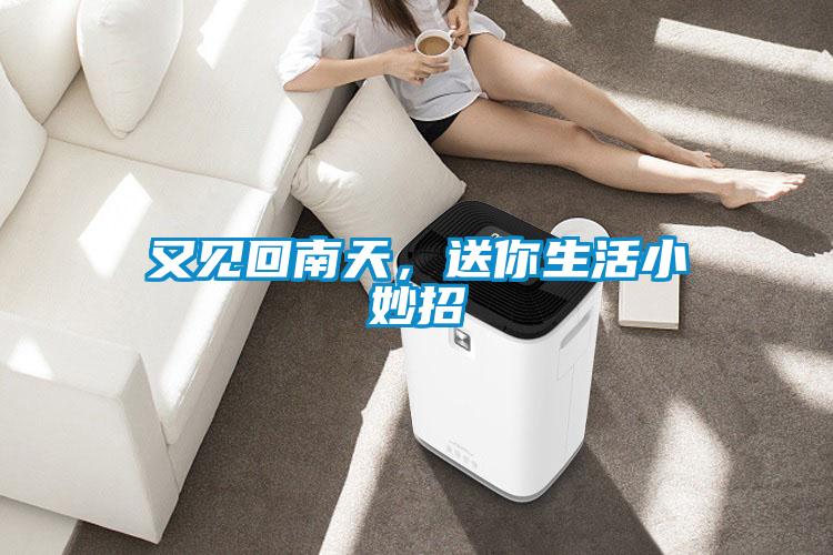 又見(jiàn)回南天，送你生活小妙招
