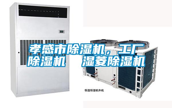 孝感市除濕機，工廠(chǎng)除濕機  濕菱除濕機