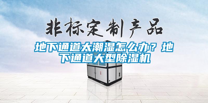 地下通道太潮濕怎么辦？地下通道大型除濕機