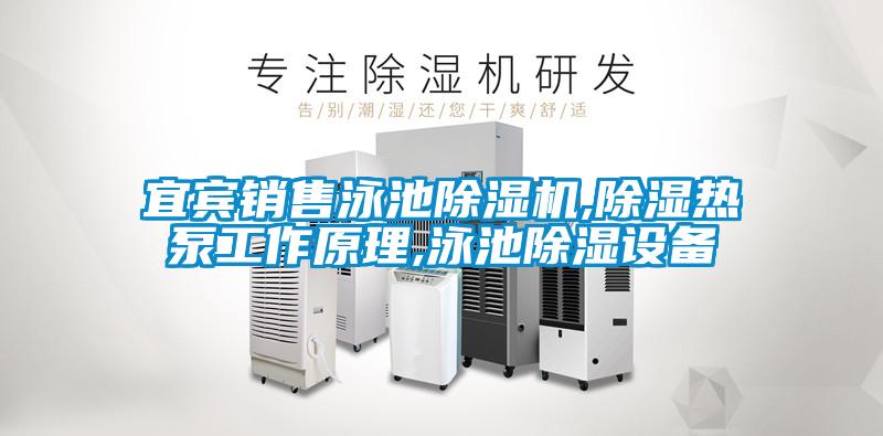 宜賓銷(xiāo)售泳池除濕機,除濕熱泵工作原理,泳池除濕設備