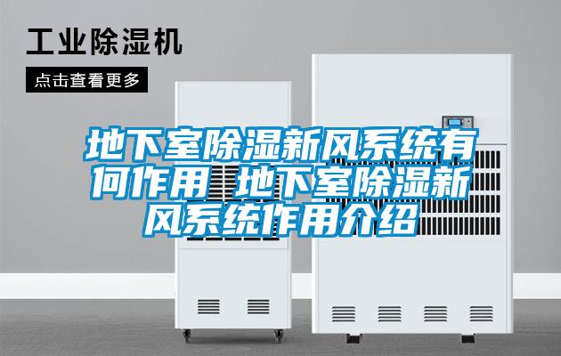 地下室除濕新風(fēng)系統有何作用 地下室除濕新風(fēng)系統作用介紹