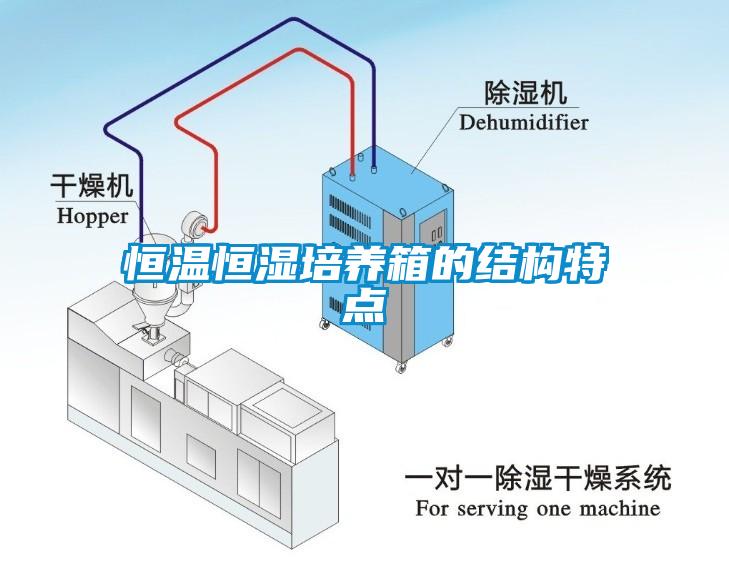 恒溫恒濕培養箱的結構特點(diǎn)
